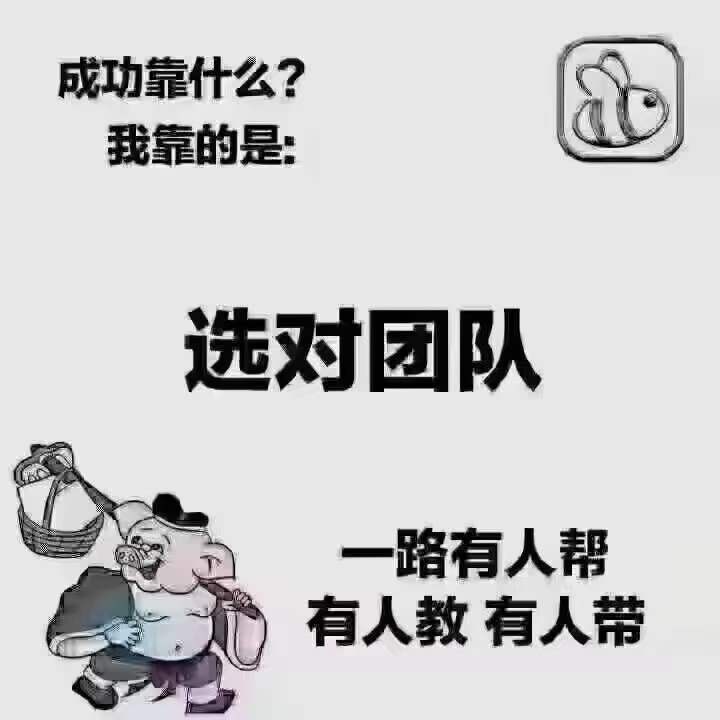 【企业贷专属】税票贷征信查询速查表，涵盖9热门税贷12爆款发票贷！